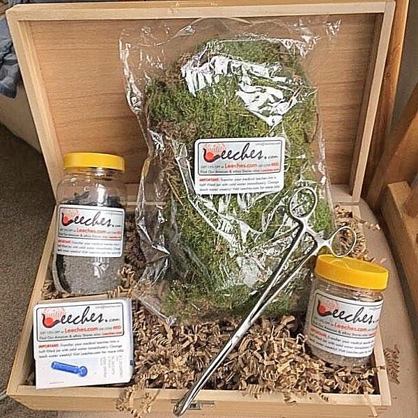 Cutie cu 20 de Lipitori. Set Pentru acasă!