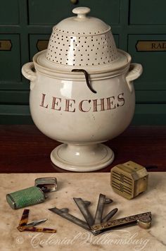 425 Leeches Hirudo Verbana