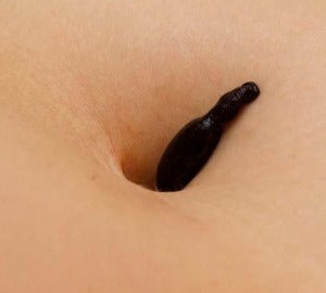 Small Medicinal Leeches