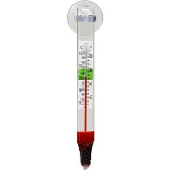 Thermometer For Leeches