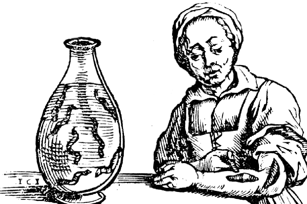 Hirudotherapy / Leech Therapy Book