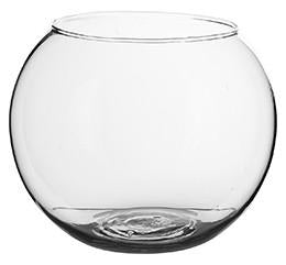 Aquarium For Leeches
