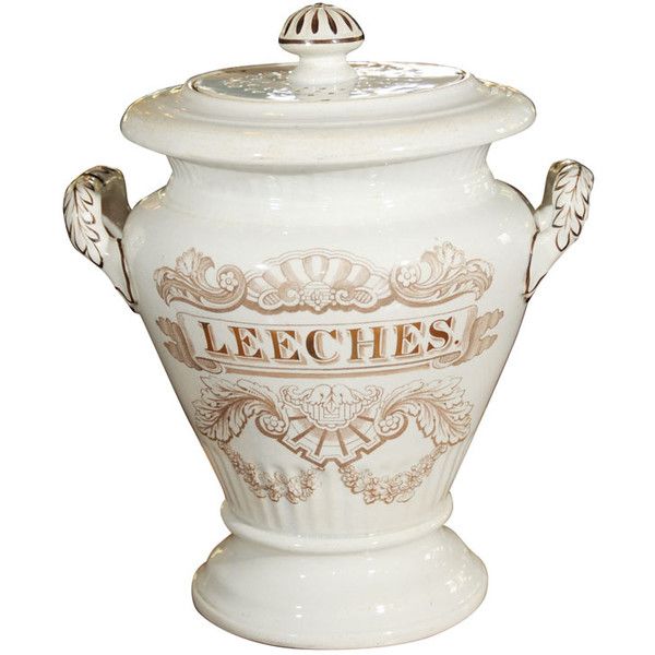 Wholesale 300 Live Leeches