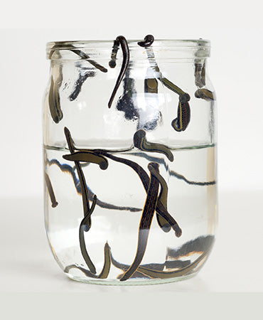 Buy 9 Leeches in United States