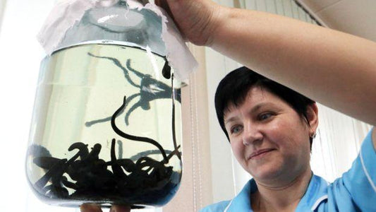 Folosirea Lipitorilor Pentru Câini, Pisici, Cai și Animale de Fermă